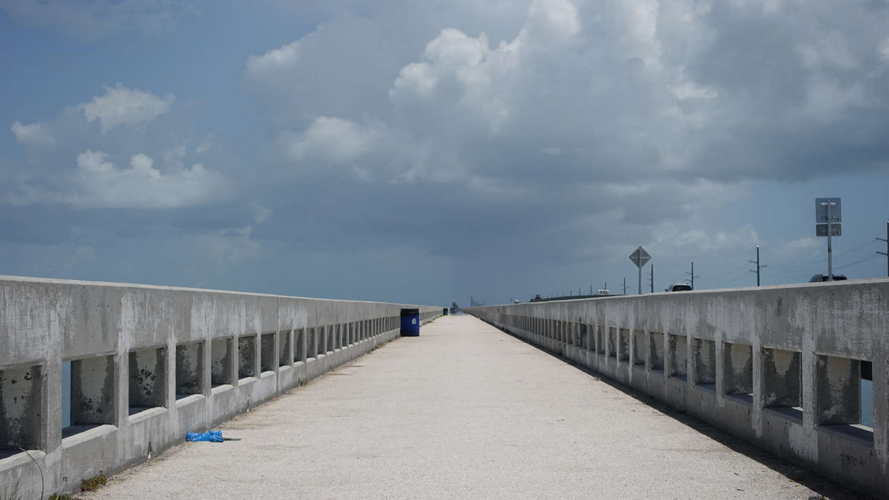 MIA_2023-08-11 13-10-19_RX_05866